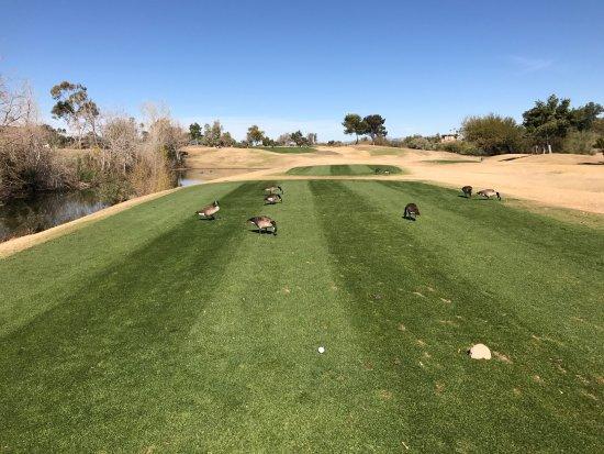 Cave Creek Golf Course